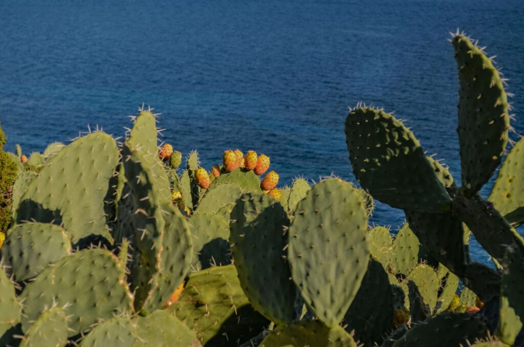 cosa visitare in sardegna